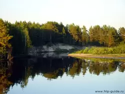 Волго-Балтийский канал, сосновые леса